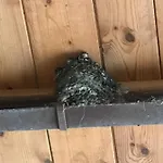 Lejlighed Hering Ii Balcony Wiek auf Rügen