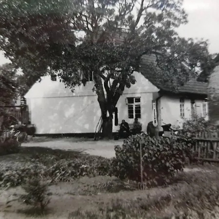 公寓 Hering Ii Balcony Wiek auf Rügen