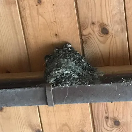 公寓 Hering Ii Balcony Wiek auf Rügen